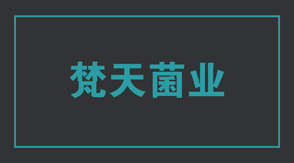 食品行业张家界冲锋衣设计款式